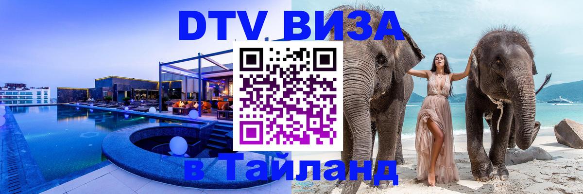 Сколько стоит DTV виза — актуальные цены, оформление даже без документов - 03.10.2025 